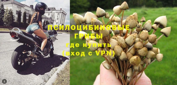 спиды Белая Холуница