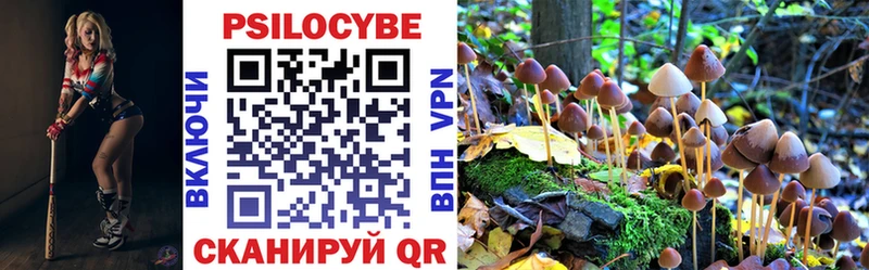 купить  сайты  Балаково  Галлюциногенные грибы Psilocybine cubensis 