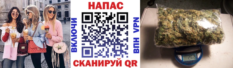 купить наркотики цена  Балаково  darknet формула  Шишки марихуана индика 